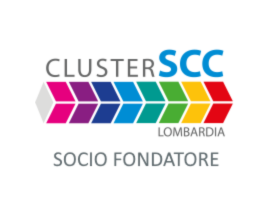 CLUSTER SCC